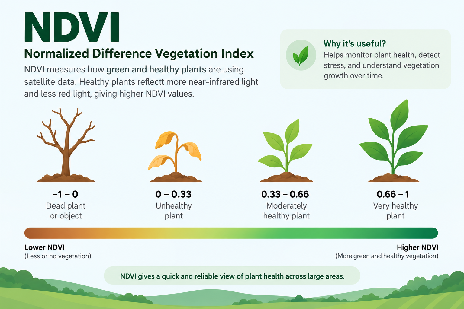 NDVI — Normalized Difference Vegetation Index explained, with plant-health scale from dead to very healthy